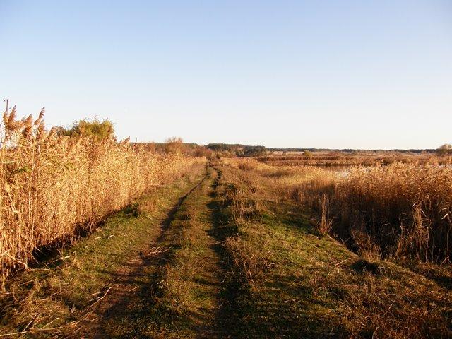 Новоселівка з panoramio.com - Новоселівка