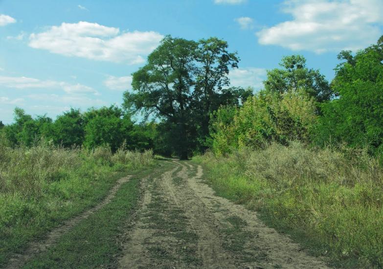 Дмитрівка з panoramio.com - Дмитровка