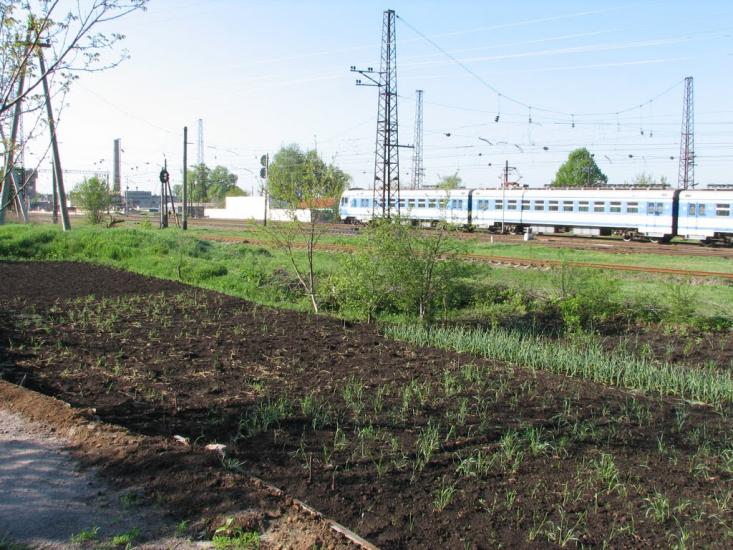 Дергачі з panoramio.com - Дергачи