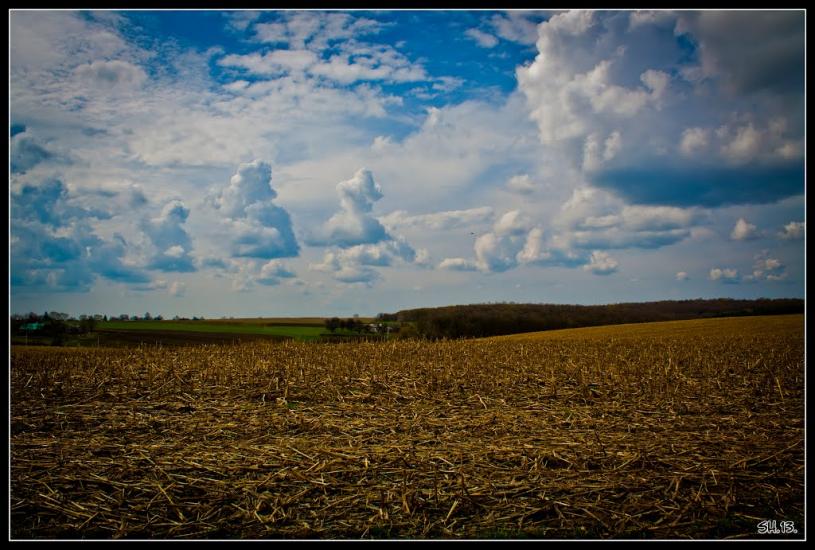 Заріцьк з panoramio.com - Zaritsk