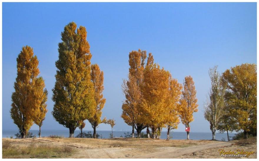 Кам'янка-Дніпровська з panoramio.com - Каменка-Днепровская