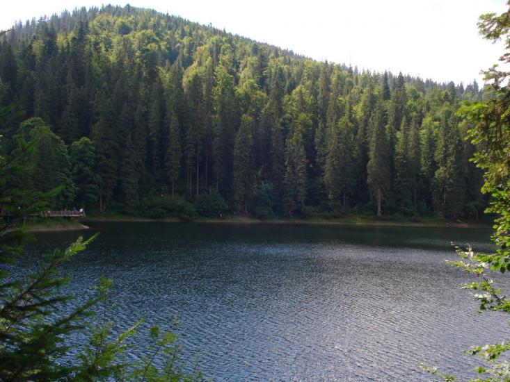 Синевир з panoramio.com - Синевир