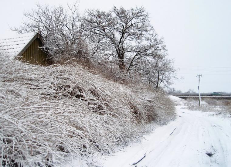 Пологи з panoramio.com - Pology