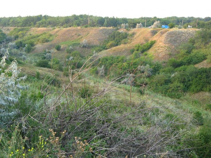 Юр'ївка з panoramio.com - Юрьевка