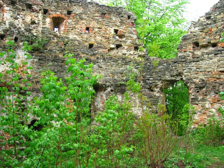 Добромиль з panoramio.com - Dobromyl
