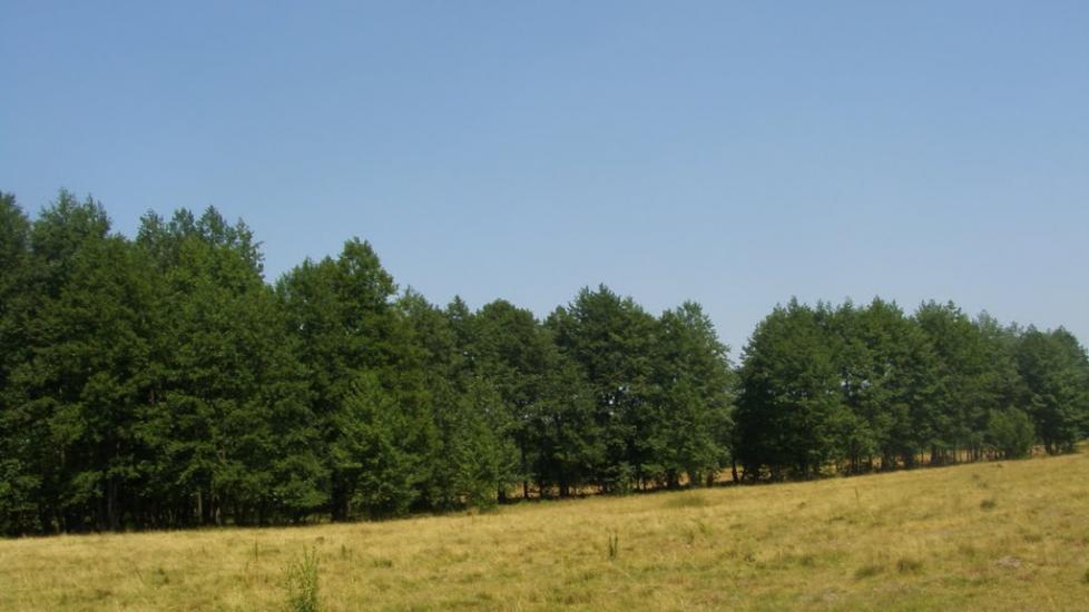 Машеве з panoramio.com - Машево