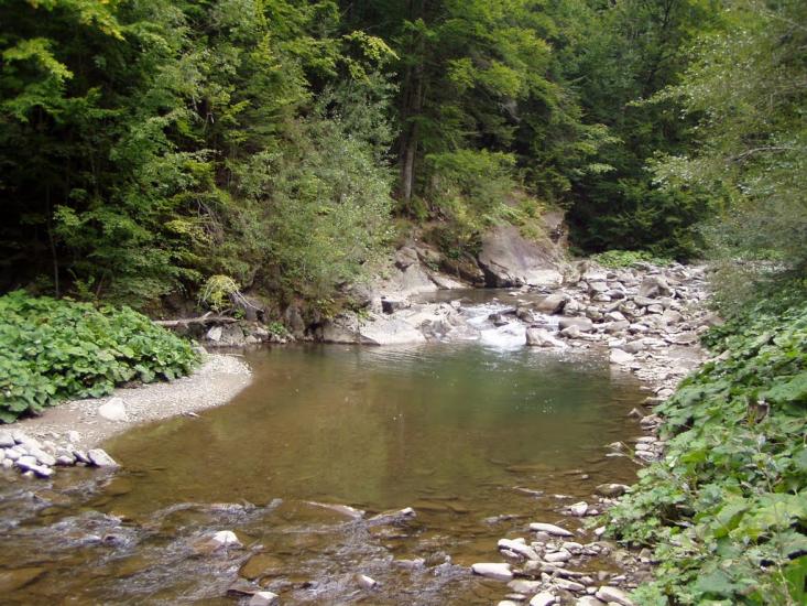 Костринська Розтока з panoramio.com - Костринська Розтока