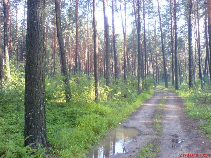 Стригани з panoramio.com - Стриганы