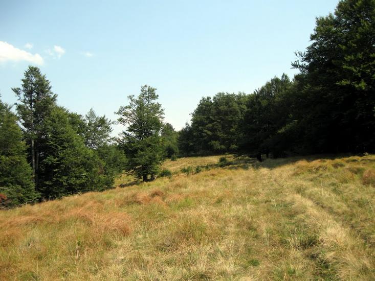 Вучкове з panoramio.com - Вучкове