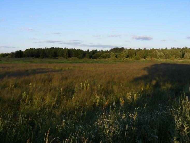 Кузьки з panoramio.com - Кузьки