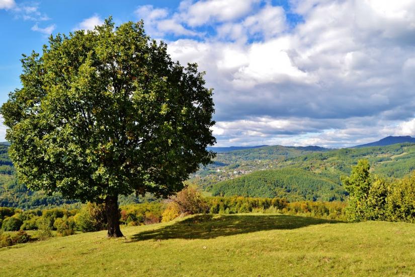 Росішка з panoramio.com - Rosishka