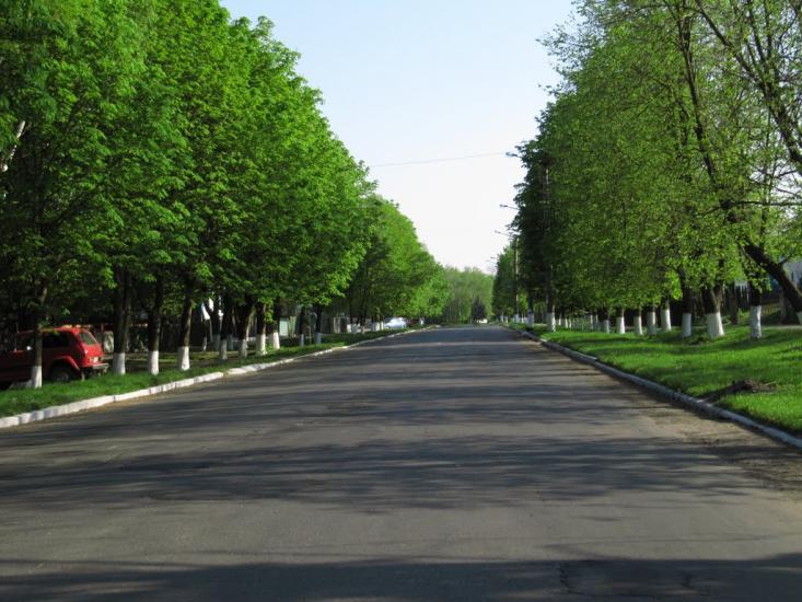 Оржиця з panoramio.com - Orzhytsya