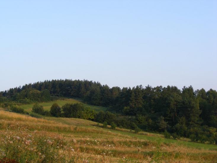 Добромиль з panoramio.com - Dobromyl