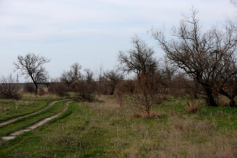 Мала Тернівка з panoramio.com - Mala Ternivka