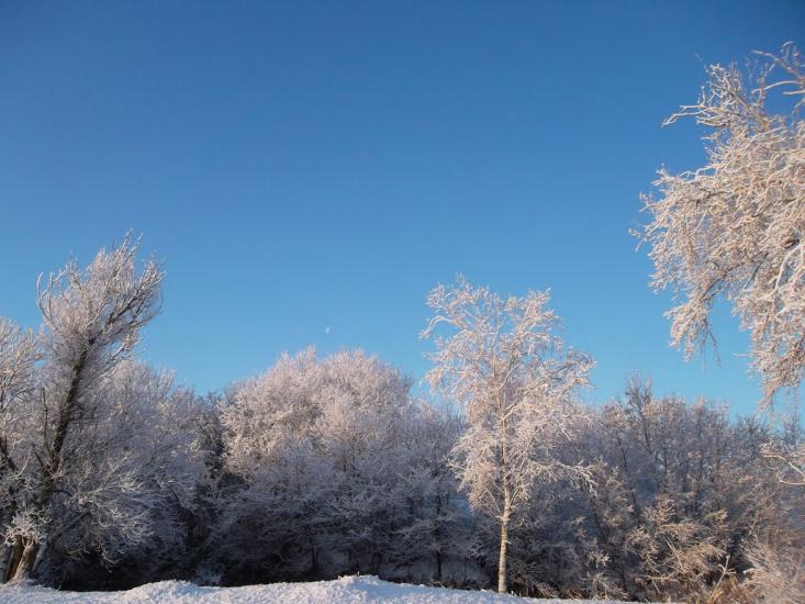 Захарівка з panoramio.com - Захарівка