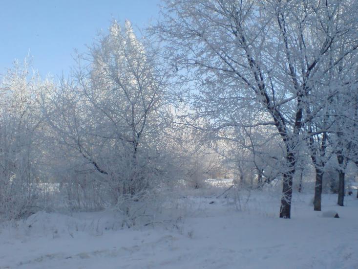 Гірник з panoramio.com - Гірник