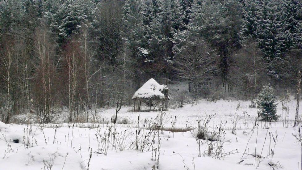 Княгиня з panoramio.com - Княгиня
