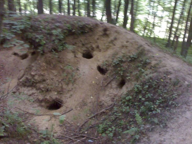 Михальче з panoramio.com - Михальче