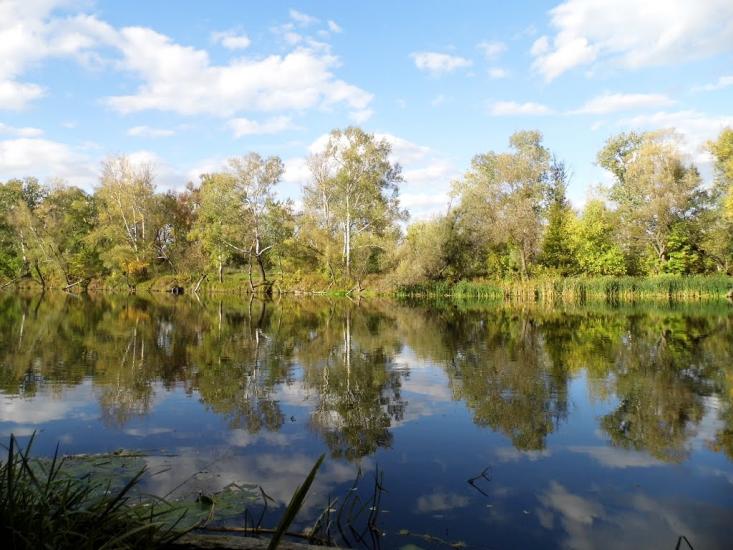 Богородичне з panoramio.com - Богородичное
