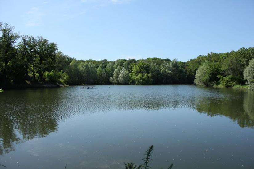 Селезнівка з panoramio.com - Селезневка