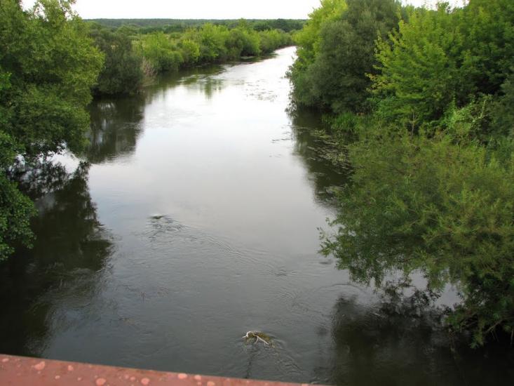 Стригани з panoramio.com - Стриганы