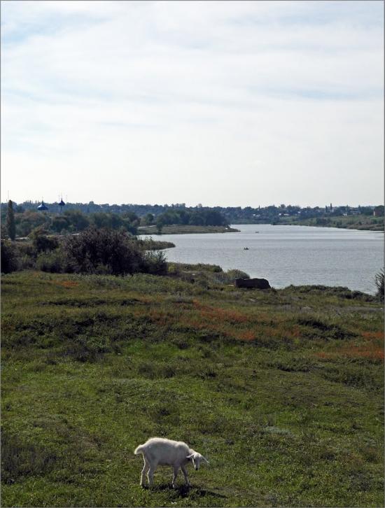 Лозуватка з panoramio.com - Лозоватка