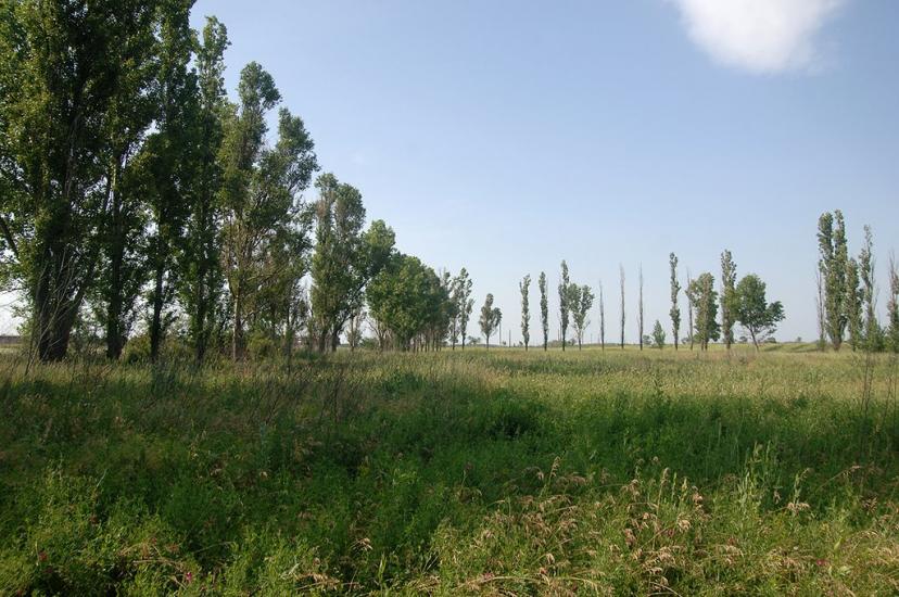 Мала Білозерка з panoramio.com - Мала Білозерка