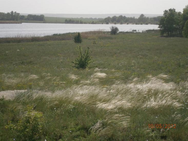 Колядівка з panoramio.com - Колядовка