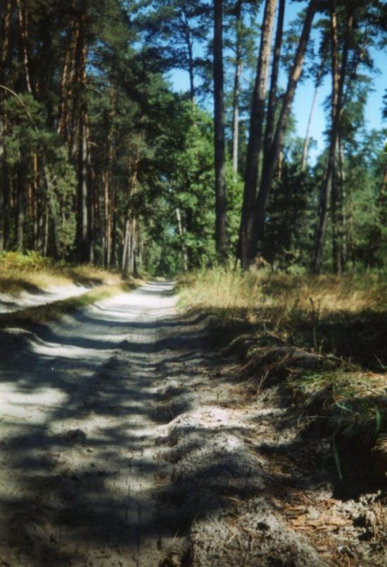 Руська Поляна з panoramio.com - Русская Поляна