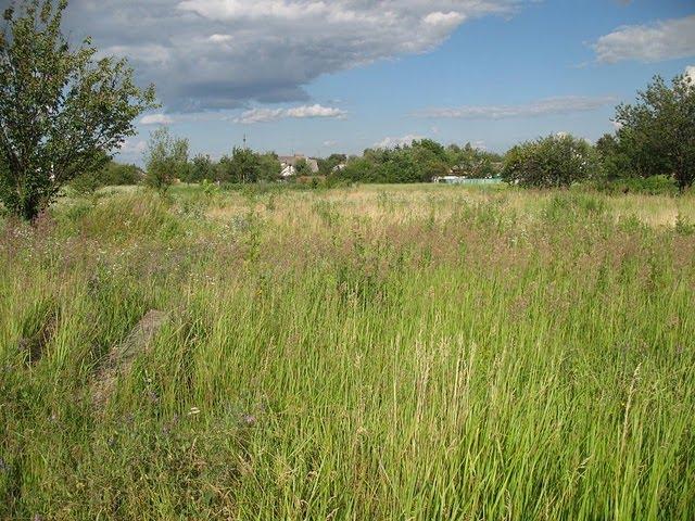 Хорошеве з panoramio.com - Хорошево