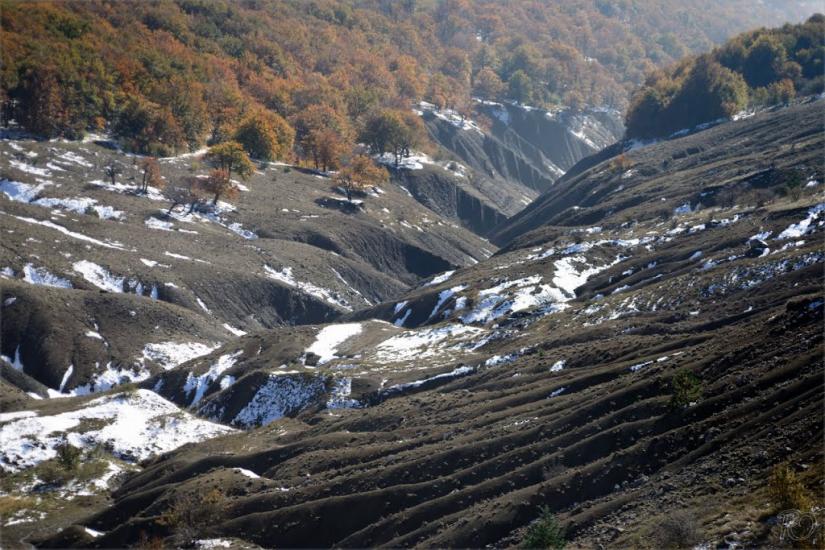 Пчолине з panoramio.com - Пчелиное