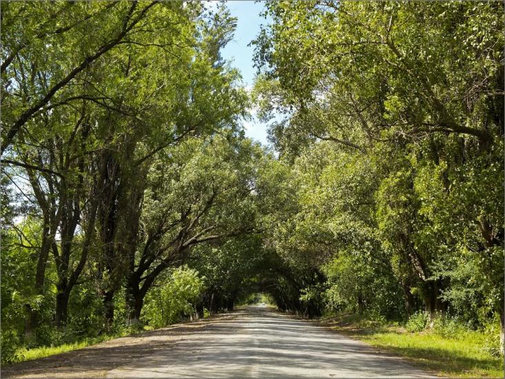Вільне з panoramio.com - Вільне