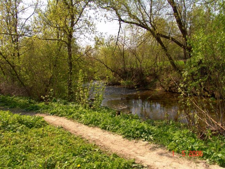 Борщівці з panoramio.com - Борщевцы