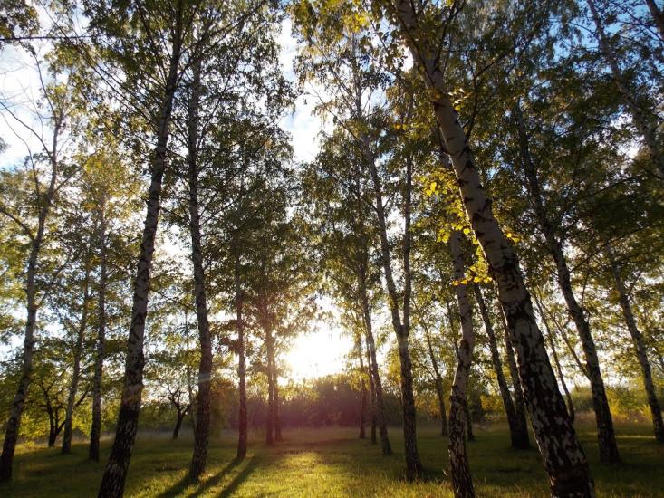 Першотравенськ з panoramio.com - Першотравенск