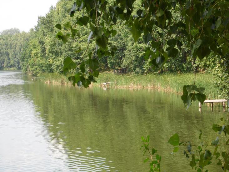 Ступаківка з panoramio.com - Ступаківка