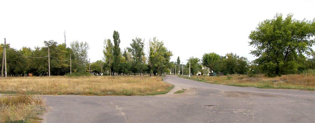 Новоселівка з panoramio.com - Новоселівка