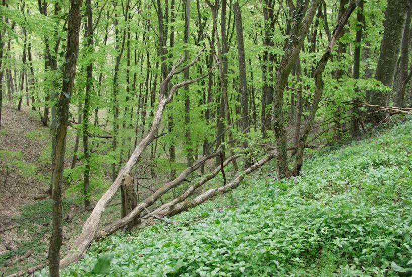 Учебне з panoramio.com - Учебне