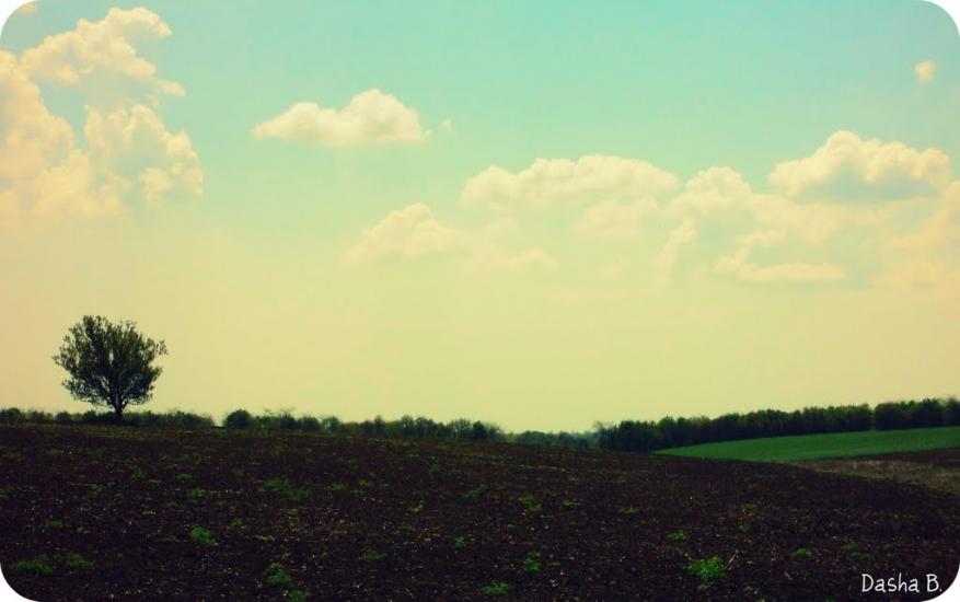 Дачне з panoramio.com - Дачне