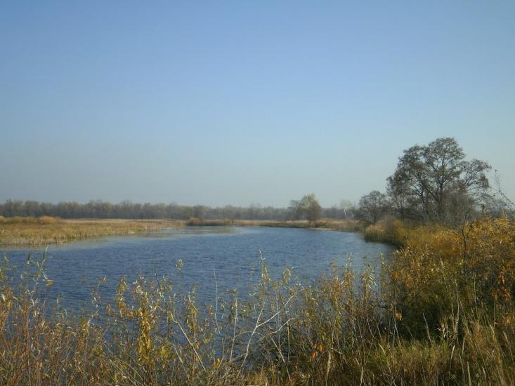 Вища Дубечня з panoramio.com - Высшая Дубечня