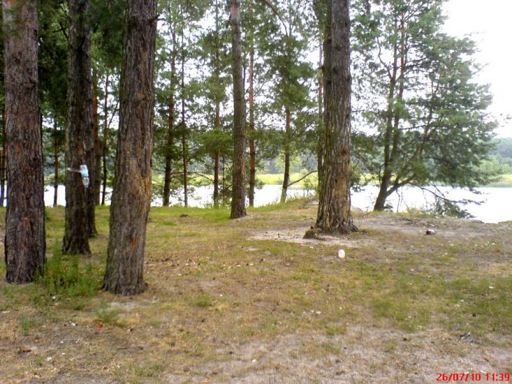 Стригани з panoramio.com - Стриганы