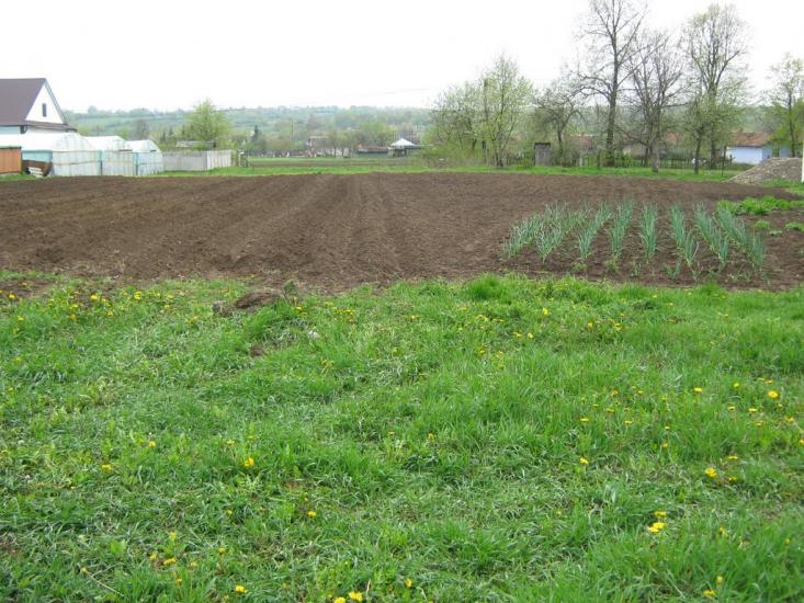 Дебеславці з panoramio.com - Debeslavtsi