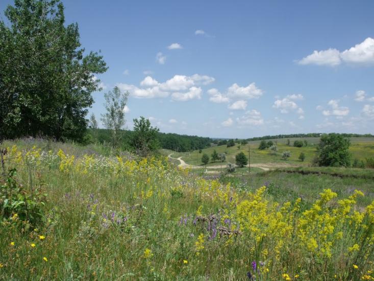 Гусина Поляна з panoramio.com - Гусина Поляна