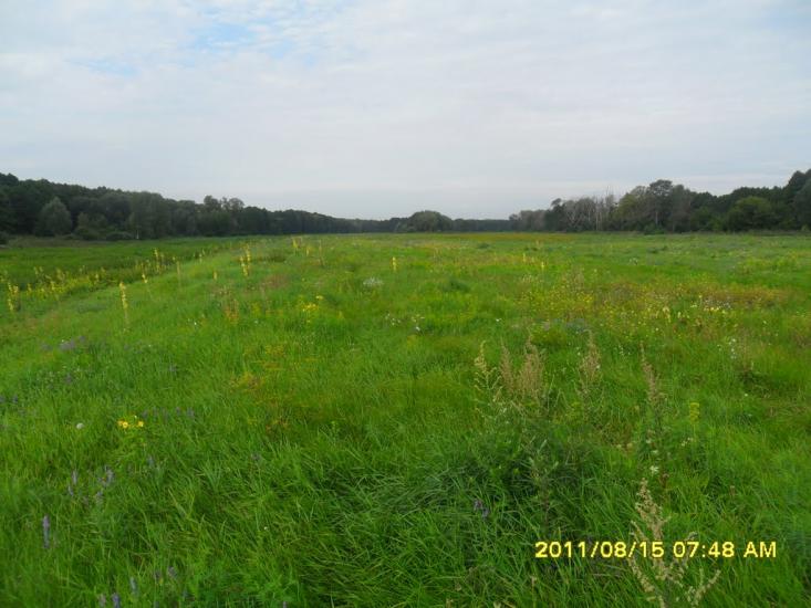 Ковалин з panoramio.com - Ковалин