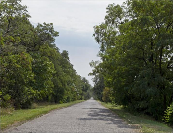 Зелене Поле з panoramio.com - Зелене Поле