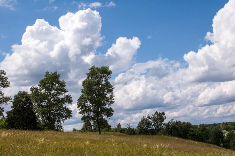 Устя з panoramio.com - Устя