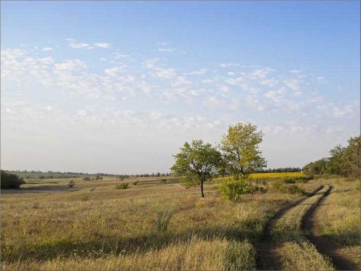Авдотівка з panoramio.com - Авдотівка