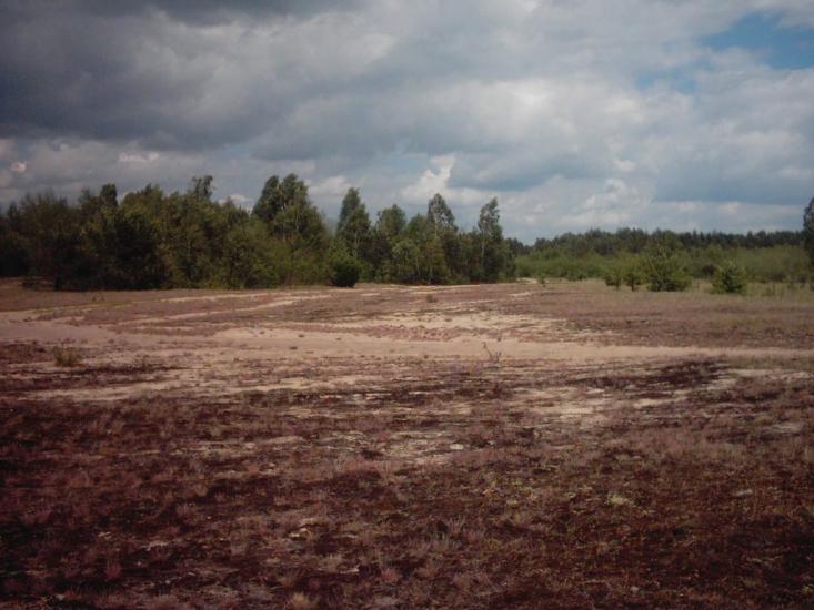 Римачі з panoramio.com - Рымачи