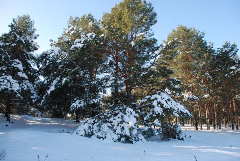 Миколаїв з panoramio.com (ч.4) - Николаев