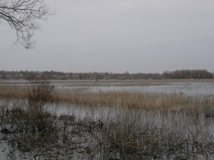 Заріг з panoramio.com - Зарог