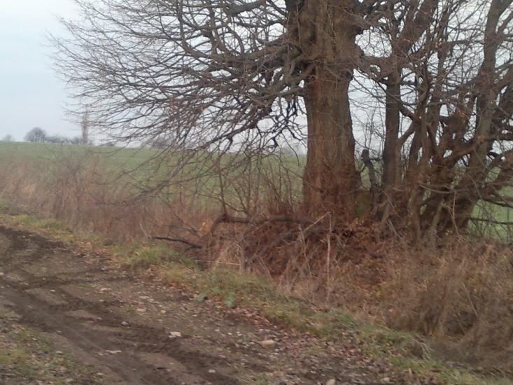 Містковичі з panoramio.com - Містковичі